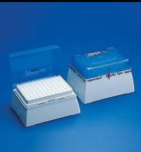 Eppendorf 0030078551 ep Dualfilter T.I.P.S. PCR clean, sterile, tip volume × L 2-20CS0 μL × 55 mm, yellow tip, 960/CS