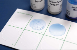 Hardy Diagnostics ST50 StaphTEX Blue, rapid latex agglutination test for Staphylococcus aureus, 50/CS