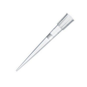 Molecular BioProducts 94052350 Finntip Filtered Sterile Pipette Tips, 300μL, 960/CS